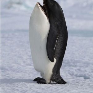 Meet your Posher, Evan